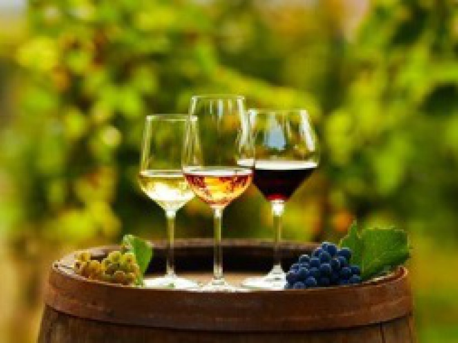 Terre Rouge Vignes et Vins